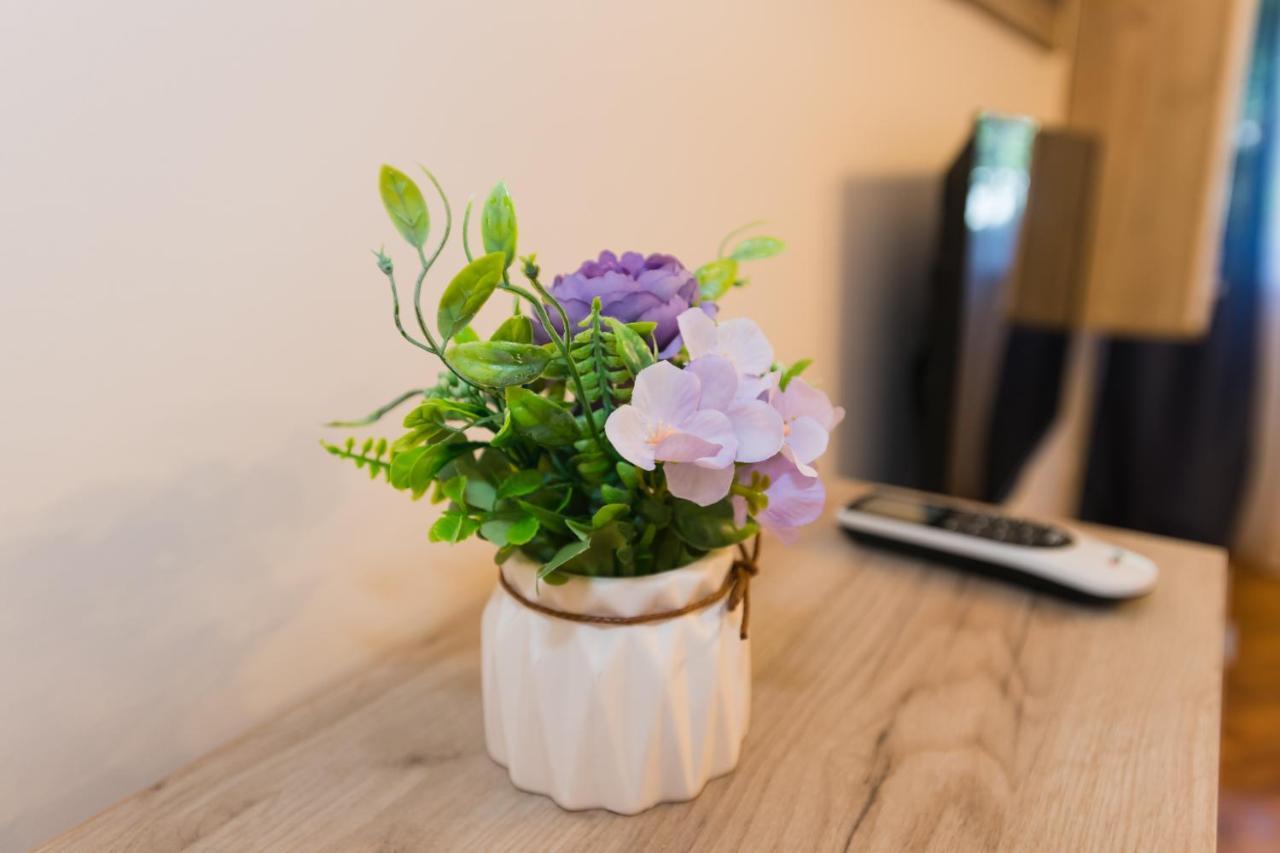 Apartman Studio Blue Subotica Luaran gambar